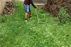 IMG_20210826_094739952