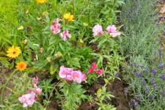 WhatsApp-Bild-2024-07-13-um-11.36.29_94c825f5