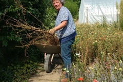 IMG_20220728_112911079