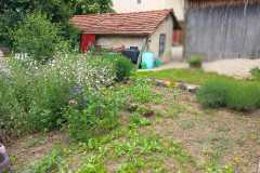 WhatsApp-Image-2023-05-23-at-16.03.07