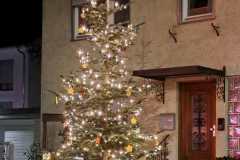 WhatsApp-Bild-2024-11-30-um-18.00.59_a7096d16