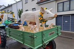 20250727_125709 20250727_125709