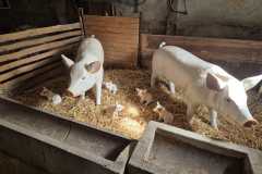 WhatsApp-Bild-2025-04-20-um-12.05.41_b6c64683