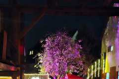 WhatsApp-Bild-2023-10-29-um-12.22.12_4807f53d