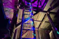 IMG-20251028-WA0095